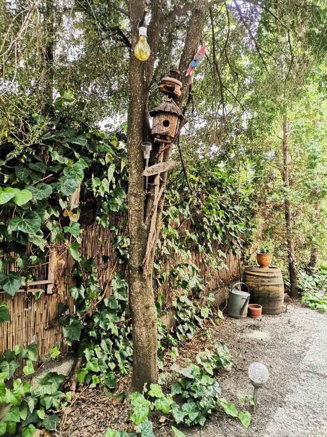 Flat In Historic Villa With Your Own Private Garden, Near City Park Budapest Eksteriør bilde