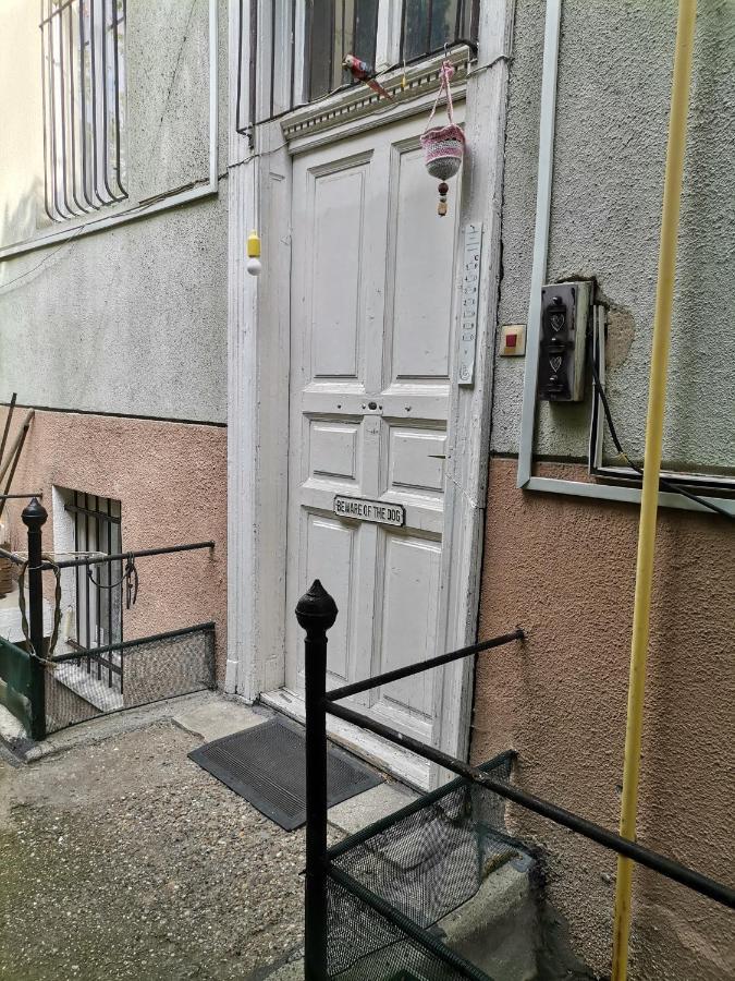 Flat In Historic Villa With Your Own Private Garden, Near City Park Budapest Eksteriør bilde